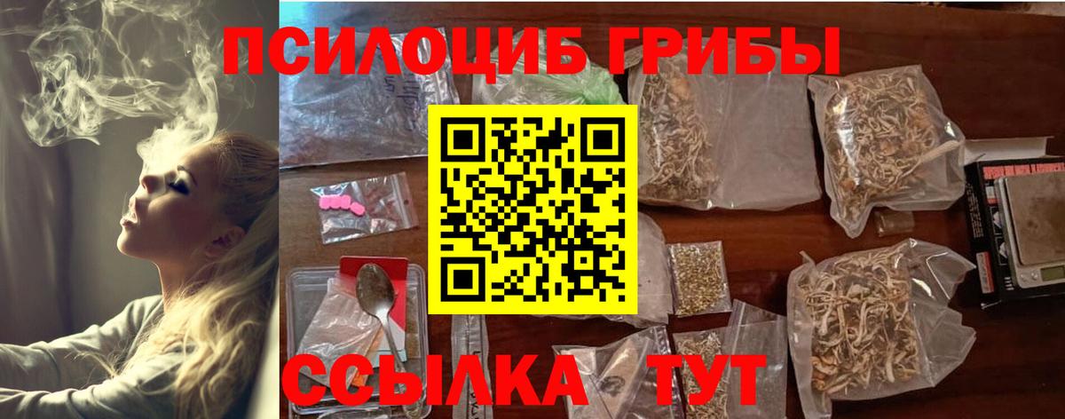 Дмитров  Галлюциногенные грибы MAGIC MUSHROOMS  Вход с VPN 